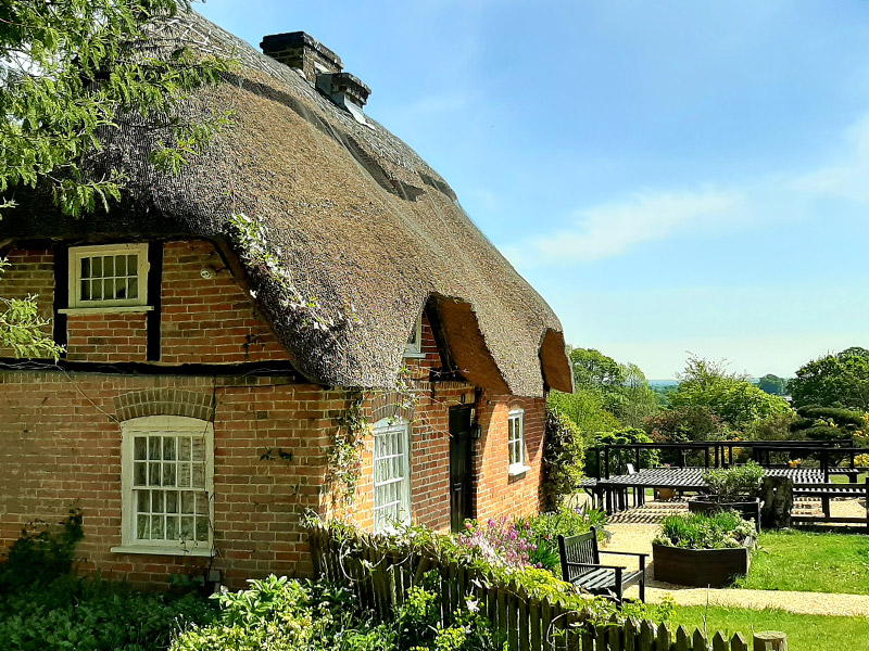 Furzey Garden in the New Forest, Hampshire